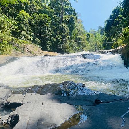 The Rainforest Hideaway Денияйя Экстерьер фото