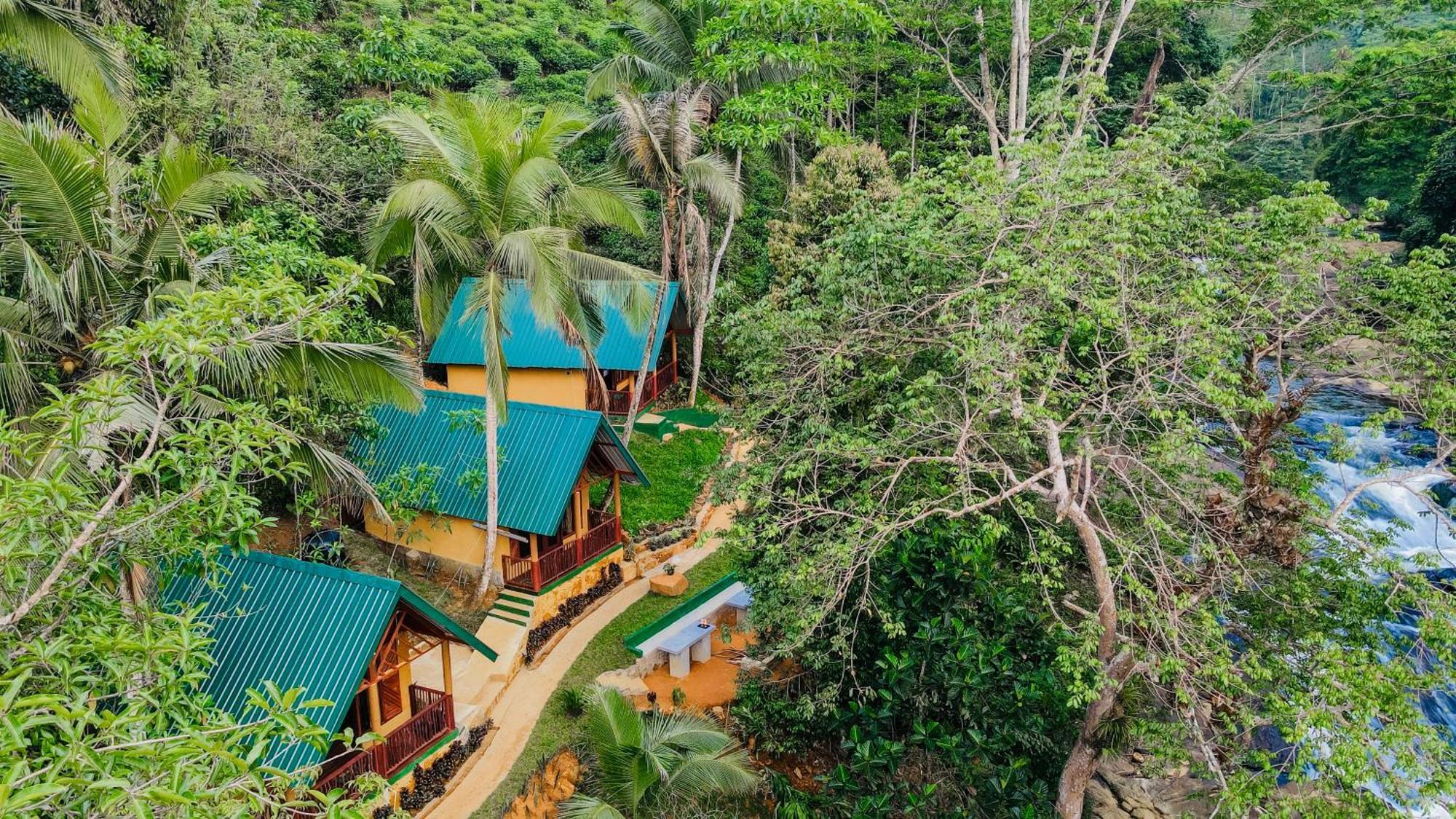 The Rainforest Hideaway Денияйя Экстерьер фото