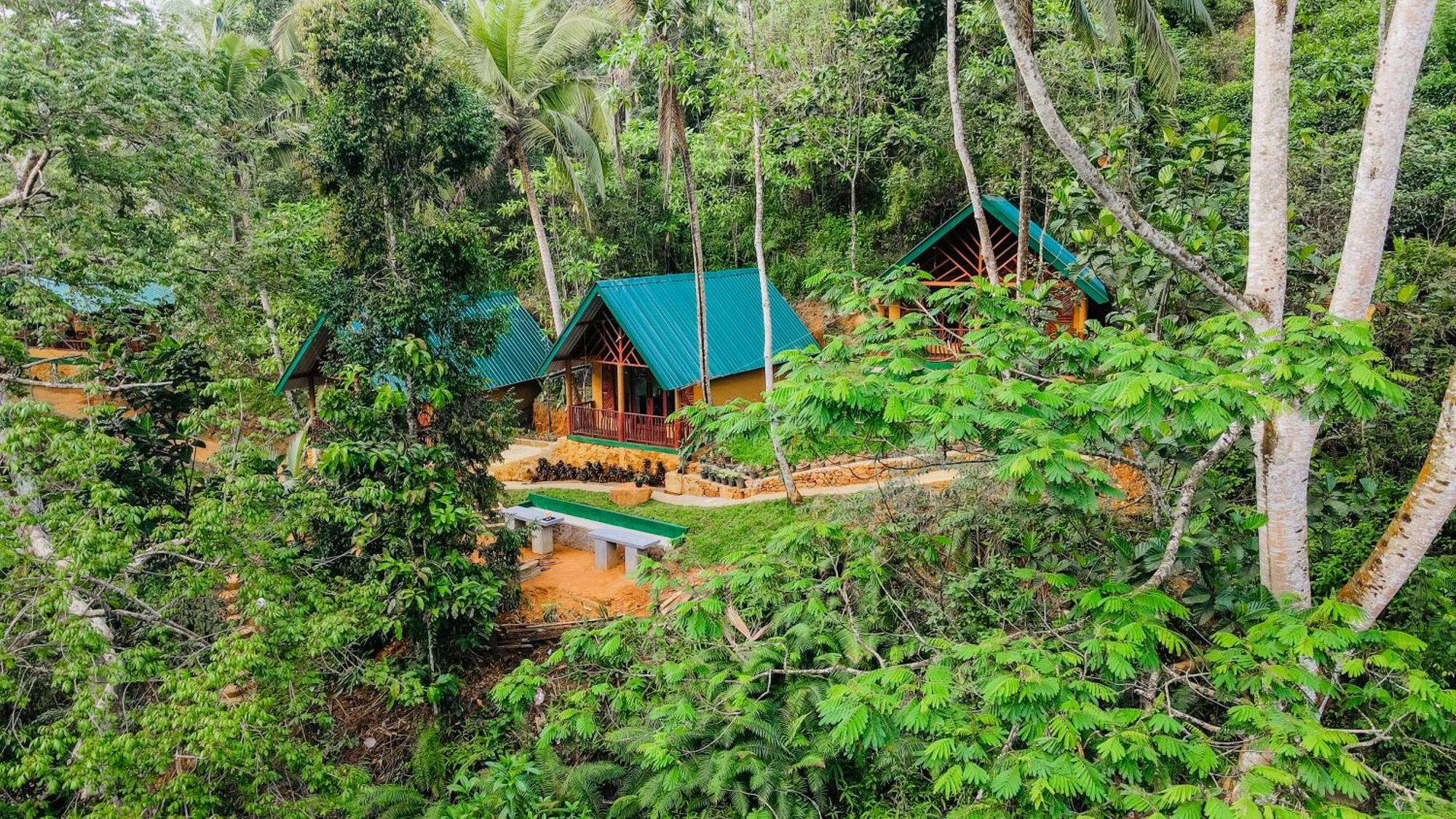 The Rainforest Hideaway Денияйя Экстерьер фото