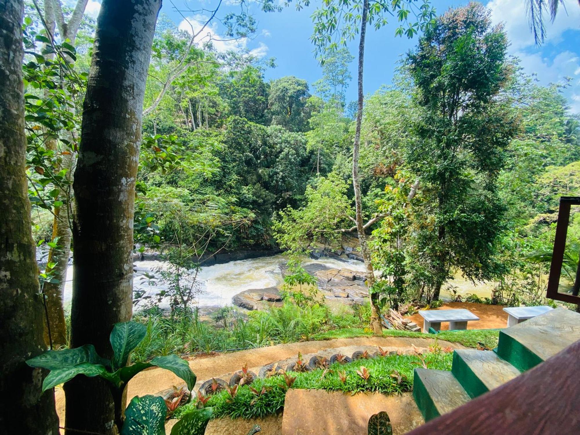 The Rainforest Hideaway Денияйя Экстерьер фото