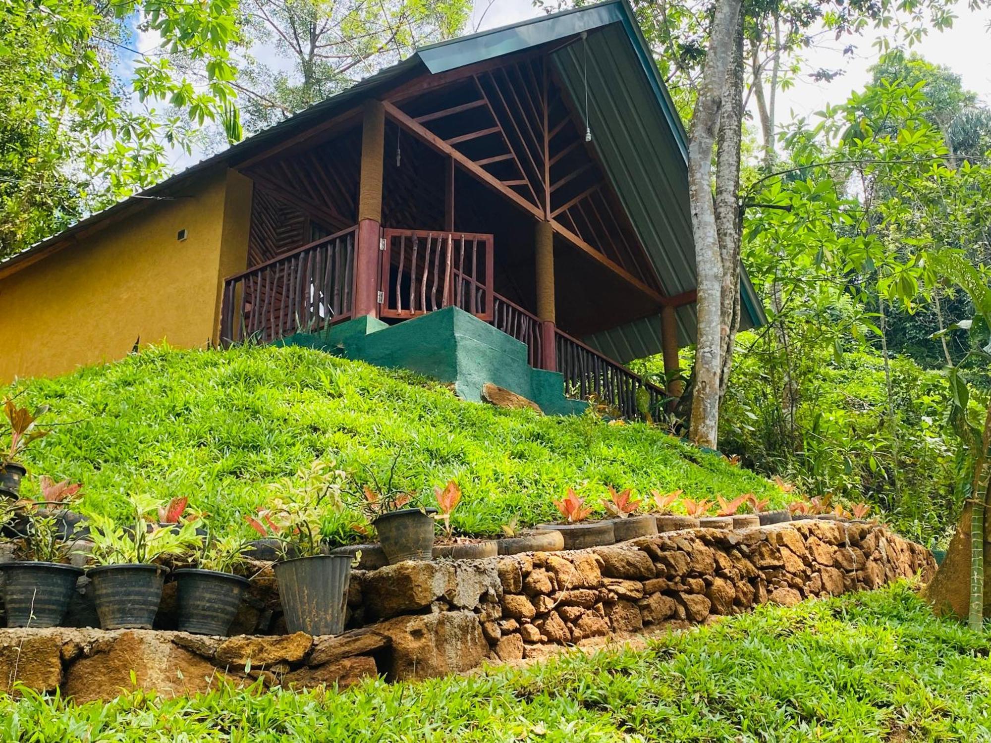 The Rainforest Hideaway Денияйя Экстерьер фото