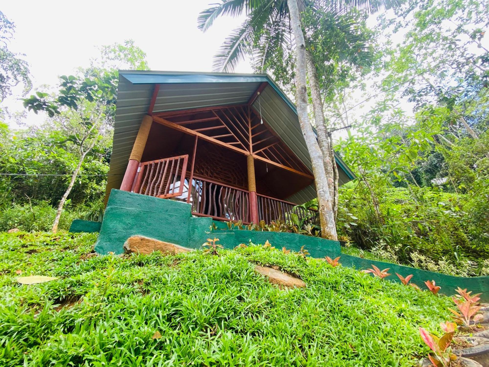 The Rainforest Hideaway Денияйя Экстерьер фото