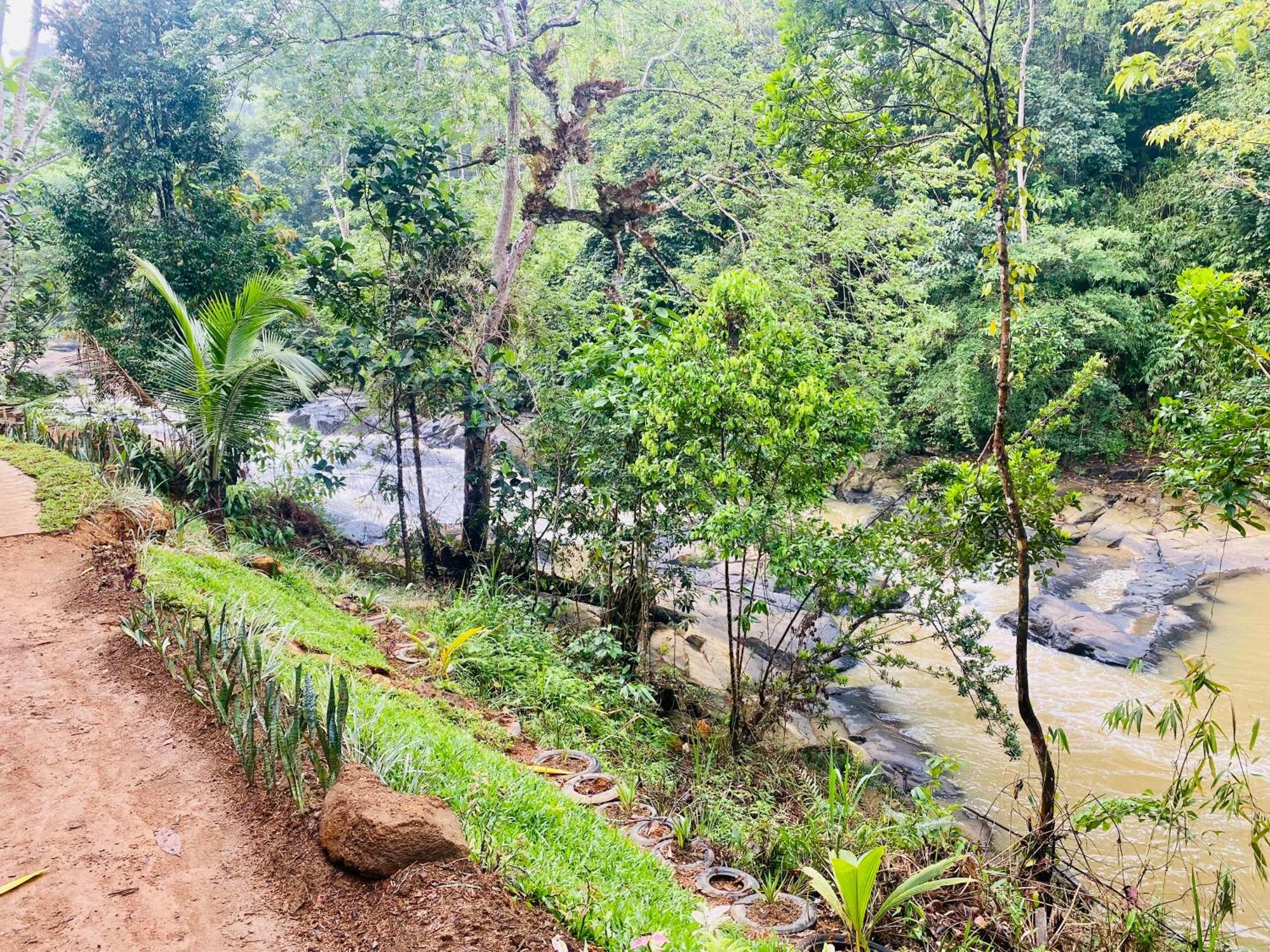 The Rainforest Hideaway Денияйя Экстерьер фото